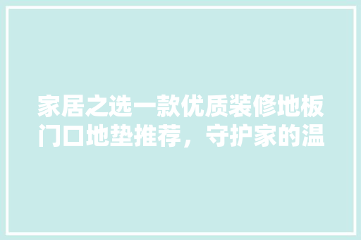家居之选一款优质装修地板门口地垫推荐，守护家的温馨时光