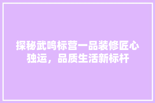 探秘武鸣标营一品装修匠心独运，品质生活新标杆