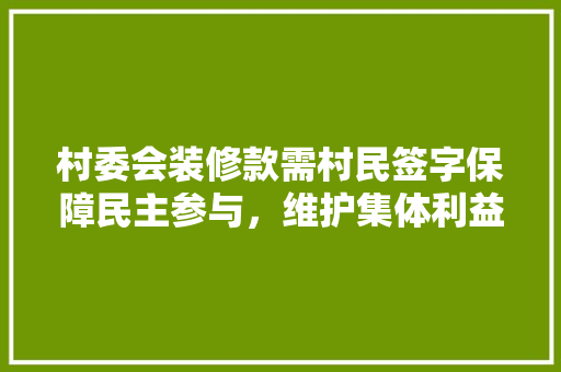 村委会装修款需村民签字保障民主参与，维护集体利益