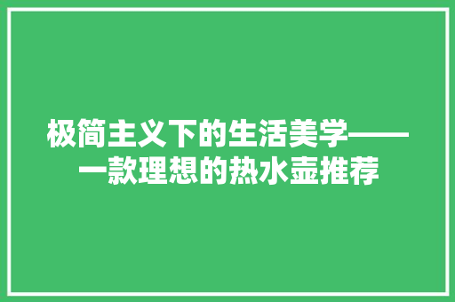 极简主义下的生活美学——一款理想的热水壶推荐