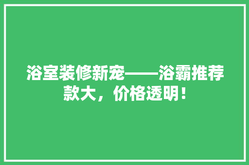 浴室装修新宠——浴霸推荐款大，价格透明！