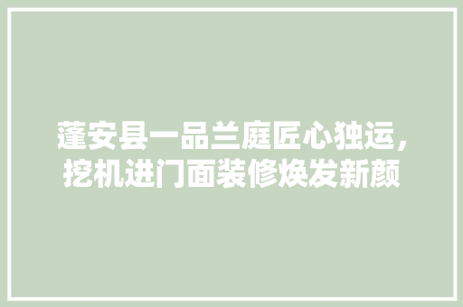 蓬安县一品兰庭匠心独运，挖机进门面装修焕发新颜
