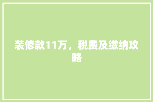 装修款11万，税费及缴纳攻略