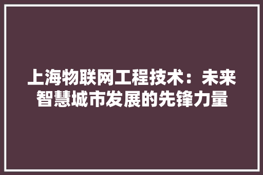 上海物联网工程技术：未来智慧城市发展的先锋力量 软装设计