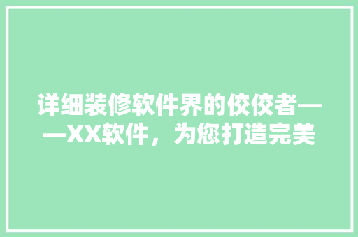 详细装修软件界的佼佼者——XX软件，为您打造完美家居体验