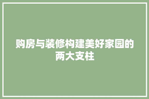 购房与装修构建美好家园的两大支柱 客厅装修