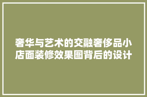 奢华与艺术的交融奢侈品小店面装修效果图背后的设计理念