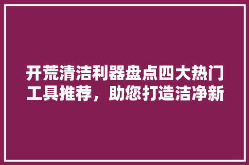 开荒清洁利器盘点四大热门工具推荐，助您打造洁净新家