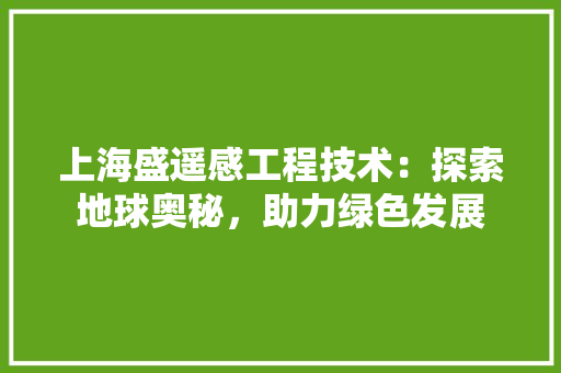上海盛遥感工程技术：探索地球奥秘，助力绿色发展