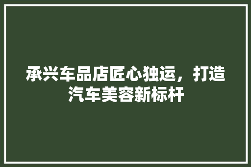 承兴车品店匠心独运，打造汽车美容新标杆