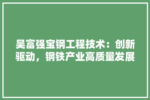 吴富强宝钢工程技术：创新驱动，钢铁产业高质量发展