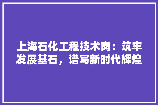 上海石化工程技术岗：筑牢发展基石，谱写新时代辉煌篇章