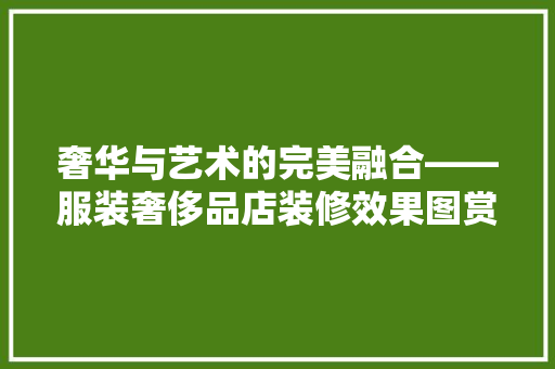 奢华与艺术的完美融合——服装奢侈品店装修效果图赏析