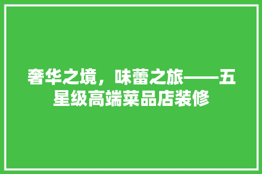 奢华之境，味蕾之旅——五星级高端菜品店装修