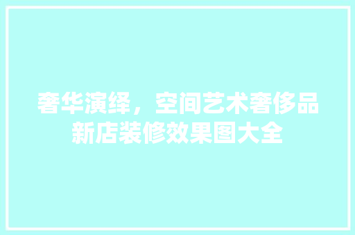 奢华演绎，空间艺术奢侈品新店装修效果图大全