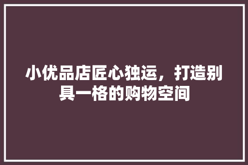 小优品店匠心独运，打造别具一格的购物空间