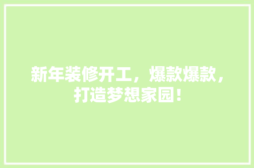 新年装修开工，爆款爆款，打造梦想家园！