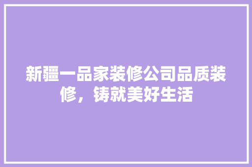 新疆一品家装修公司品质装修，铸就美好生活