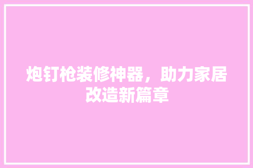 炮钉枪装修神器，助力家居改造新篇章