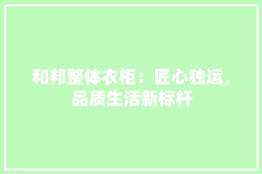 和邦整体衣柜：匠心独运，品质生活新标杆
