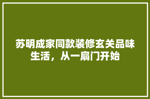 苏明成家同款装修玄关品味生活，从一扇门开始