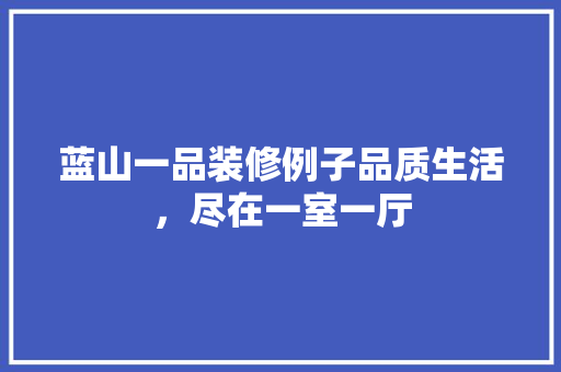 蓝山一品装修例子品质生活，尽在一室一厅