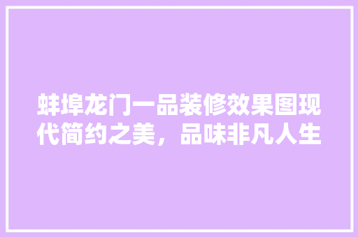 蚌埠龙门一品装修效果图现代简约之美，品味非凡人生