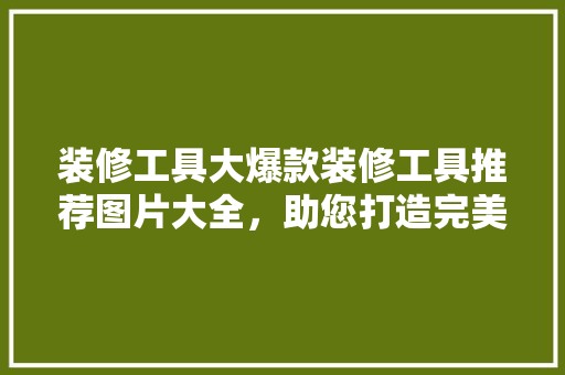 装修工具大爆款装修工具推荐图片大全，助您打造完美家居！