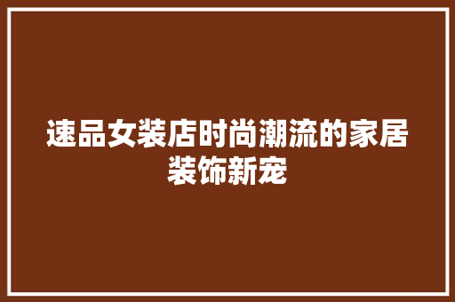 速品女装店时尚潮流的家居装饰新宠