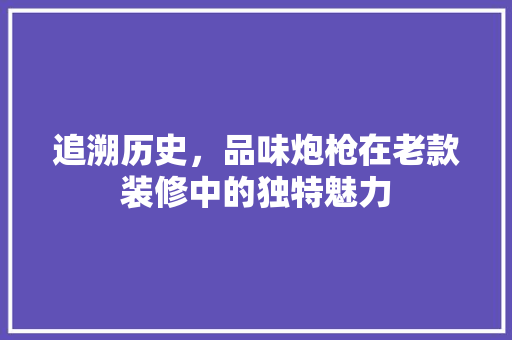 追溯历史，品味炮枪在老款装修中的独特魅力