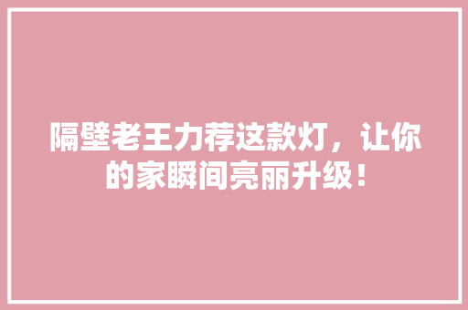 隔壁老王力荐这款灯，让你的家瞬间亮丽升级！