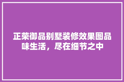 正荣御品别墅装修效果图品味生活，尽在细节之中