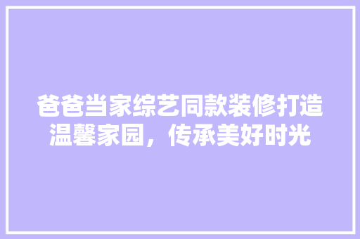 爸爸当家综艺同款装修打造温馨家园，传承美好时光