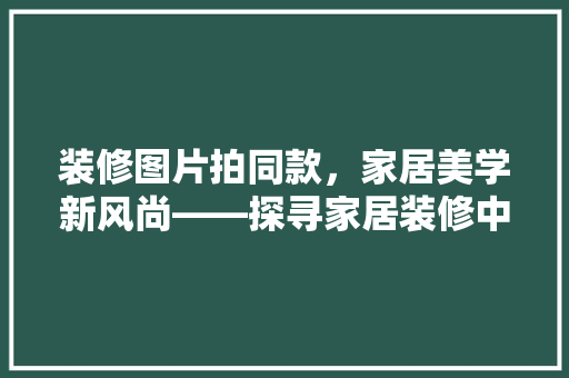 装修图片拍同款，家居美学新风尚——探寻家居装修中的“同款”魅力