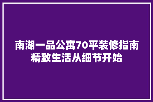 南湖一品公寓70平装修指南精致生活从细节开始
