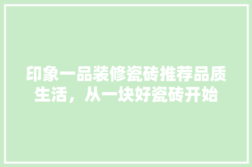 印象一品装修瓷砖推荐品质生活，从一块好瓷砖开始
