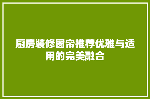 厨房装修窗帘推荐优雅与适用的完美融合