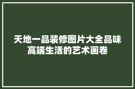 天地一品装修图片大全品味高端生活的艺术画卷