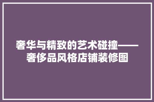 奢华与精致的艺术碰撞——奢侈品风格店铺装修图