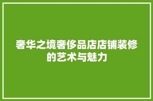 奢华之境奢侈品店店铺装修的艺术与魅力