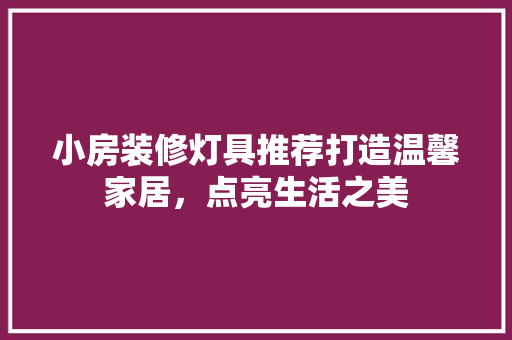 小房装修灯具推荐打造温馨家居，点亮生活之美 中式风格装饰