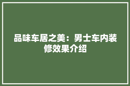 品味车居之美：男士车内装修效果介绍