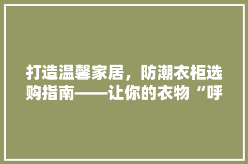 打造温馨家居，防潮衣柜选购指南——让你的衣物“呼吸”自如