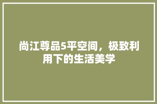 尚江尊品5平空间，极致利用下的生活美学 家居装修