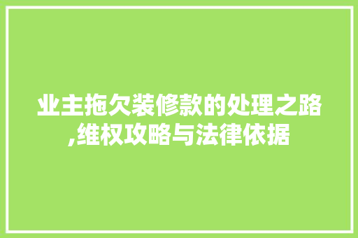 业主拖欠装修款的处理之路,维权攻略与法律依据 软装设计