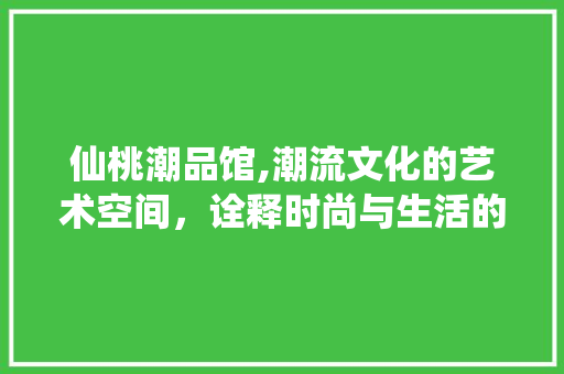 仙桃潮品馆,潮流文化的艺术空间，诠释时尚与生活的完美融合 现代风格装饰