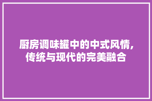 厨房调味罐中的中式风情,传统与现代的完美融合