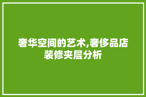 奢华空间的艺术,奢侈品店装修夹层分析