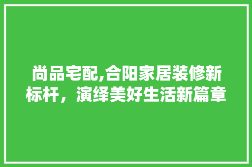 尚品宅配,合阳家居装修新标杆，演绎美好生活新篇章 中式风格装饰