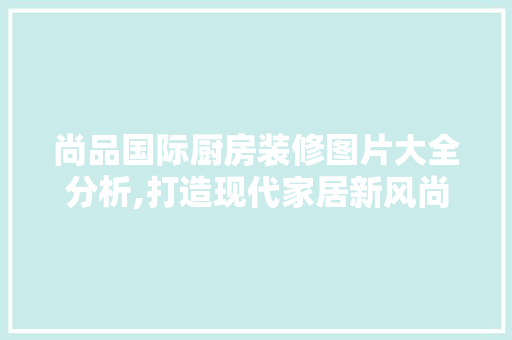 尚品国际厨房装修图片大全分析,打造现代家居新风尚 地板材料